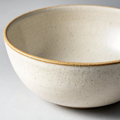 Stoneware Dinner Bowls, Set of 4